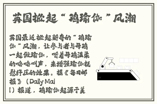 新梅金瓶